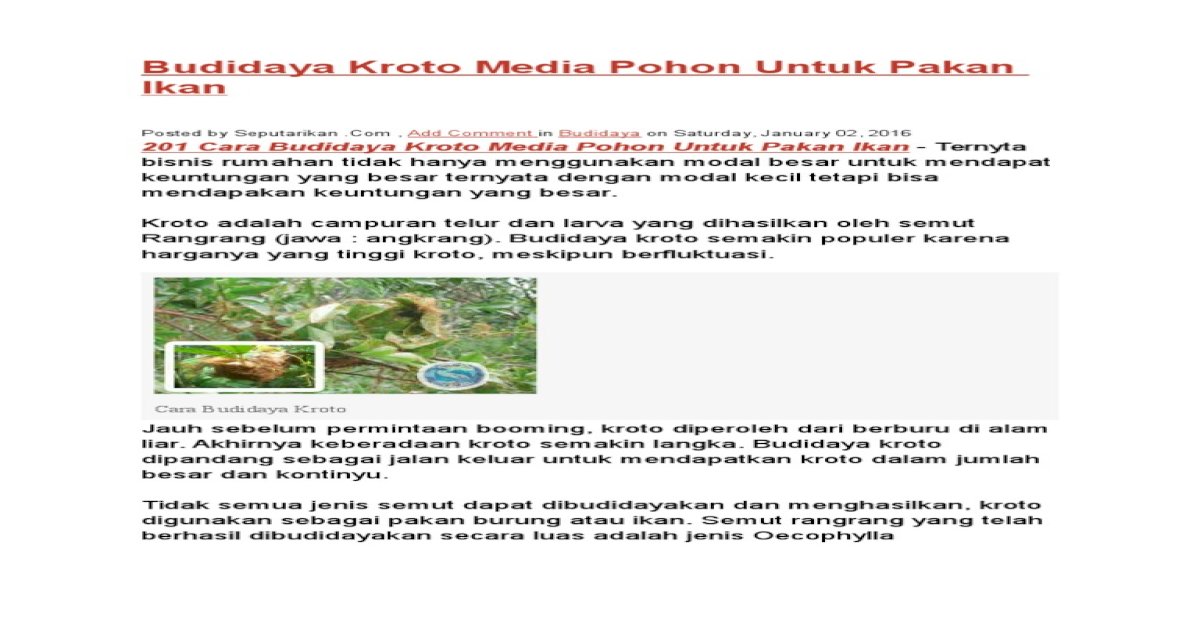 Budidaya Kroto Media Pohon Untuk Pakan Ikan Docx Pdf Document