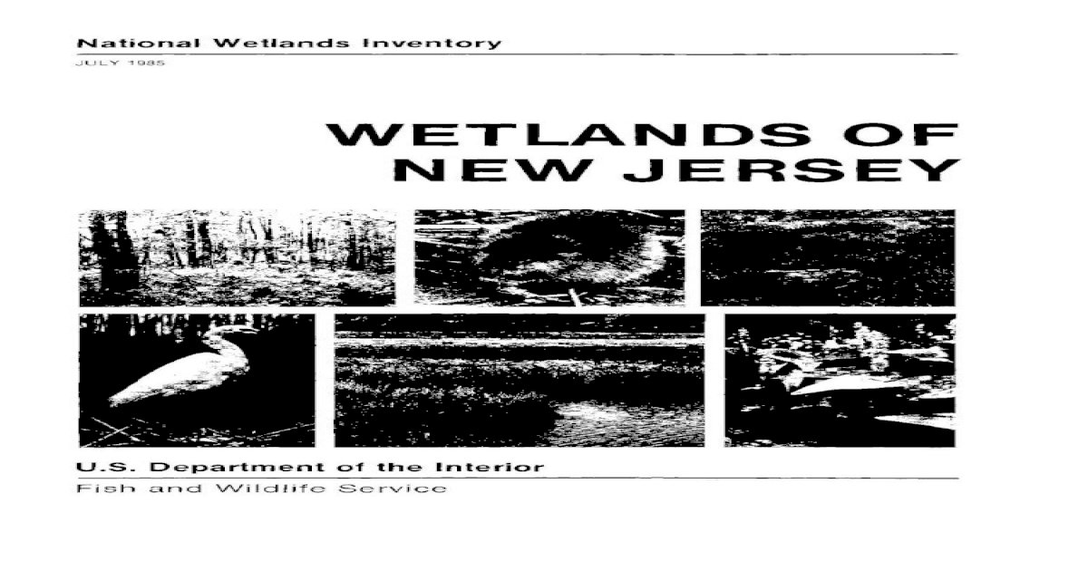 Wetlands Of New Jersey United States Fish and R.W., Jr