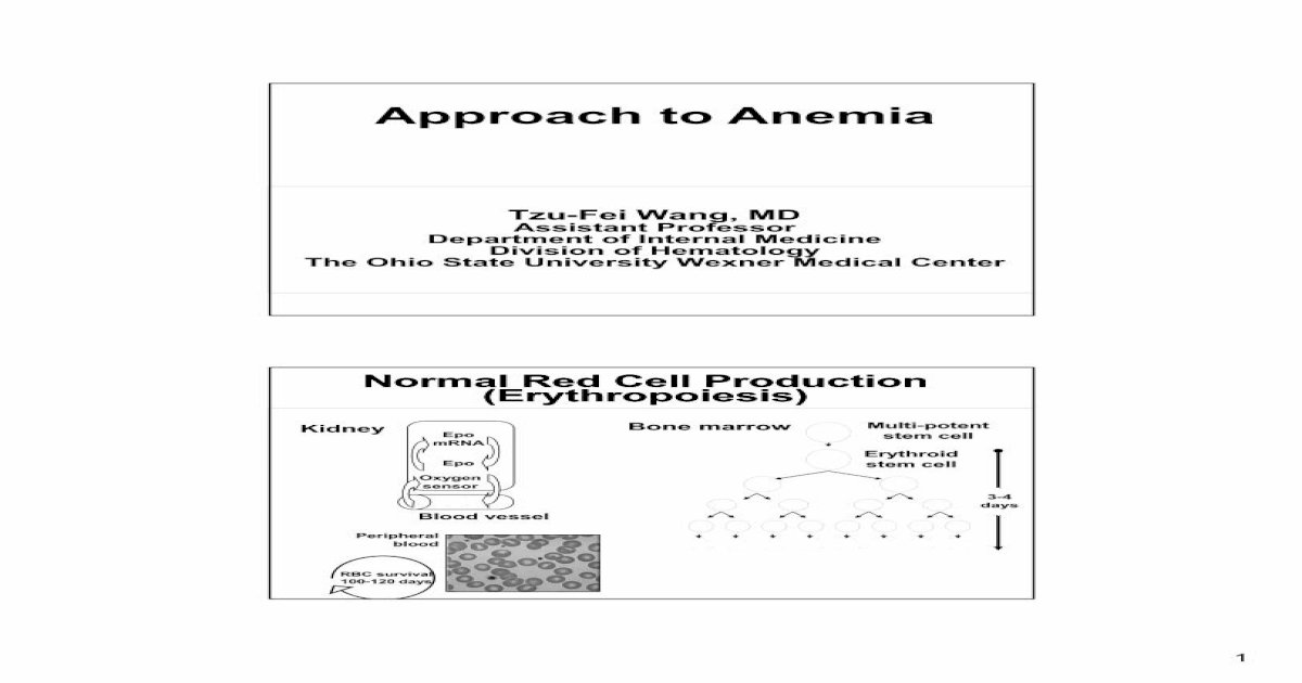 Approach To Anemia Final Handout To Anemia Final 2pdf3 Anemia With